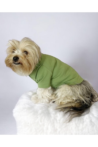 Grass Green Köpek Gömleği Köpek Kıyafeti Köpek Elbisesi