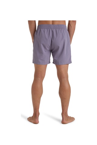 Billabong All Day Lb Lila Erkek Deniz Şortu Mor