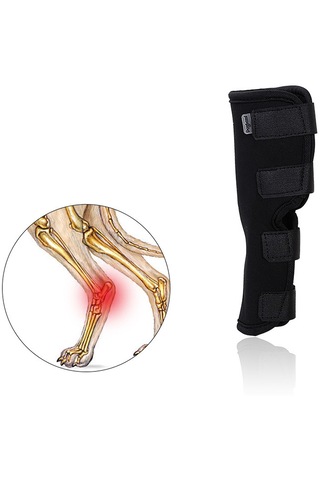 Homyl Köpek Diz Pedleri Yaralanma Önleme Yara İyileşme Artrit