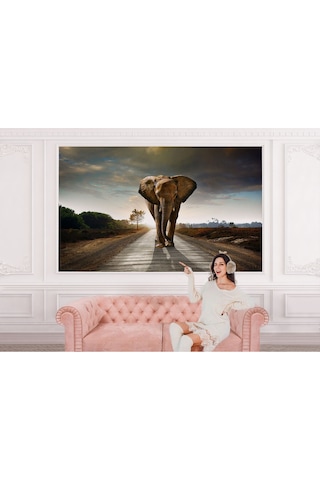 Yürüyen Fil Duvar Kağıdı - Posteri-3959 Çok Renkli