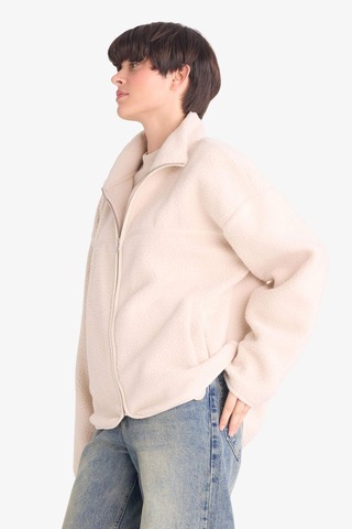 Defacto Relax Fit Yarım Balıkçı Yaka Welsoft Pelüş Hırka F4938ax25wnbg186 Bej-bg186