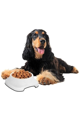 Silikon Kaydırmaz Taban Plastik Kedi Ve Köpek Mama Ve Su Kabı 2 L 50001