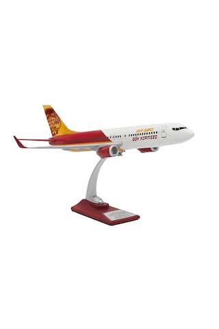 Zekupp Boeing 737-800 1/100 Ölçek Lion King Tasarımlı Maket Uçak