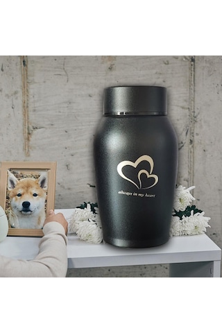 Homyl Pet Urns Paslanmaz Çelik Hatıra Urn Su Geçirmez Siyah Altın