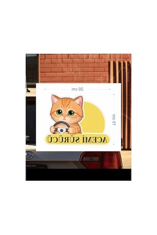 Sevimli Kedi Temalı Renkli Araba Etiketi Ve Sticker Seti Abanoz