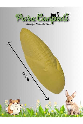 Purecanpati Kemirgen Kalsiyumu Mısır