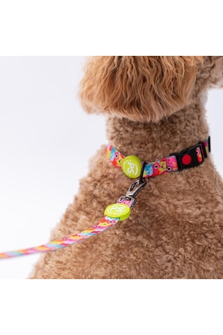Monsters Canavar Desenli Köpek Boyun Tasması Ayarlanabilir Köpek Tasması Çok Renkli