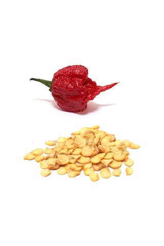 +3 Adet Dünyanın En Acı Biberi Carolina Reaper Tohumu Bire Bir Ürün