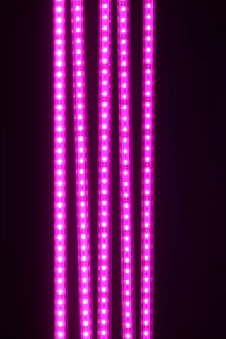 Grow Led 72 Ledli 12v 5630 Full Spectrum Bitki Yetiştirme Ledi