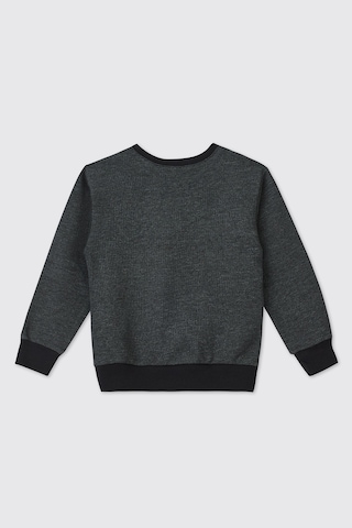 Panço Erkek Bebek Antrasit Sweatshirt 2521bb08067 Gri