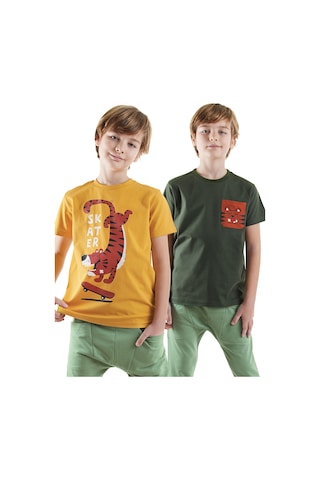 Denokids Skater Erkek Çocuk 2'li T-shirt Takım Renkli Çok Renkli