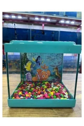 Mavi Renkli Mini Kare Akvaryum 20x20x15