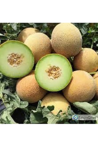 40 Adet Tohum Ananas Kavunu Kokulu Kavun Tohumu Bal Kavun Tohumu Sürpriz Hediye Sebze Tohumu