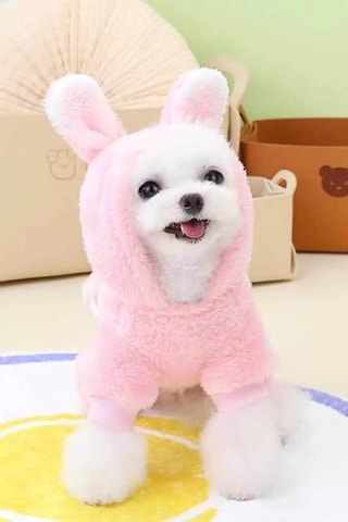 Caş Dekorasyon Pembe Renk Havuç Figürlü Çantalı Peluş Xxl Köpek Tulum