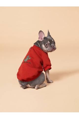 Cacti Küçük ve Orta Irk Köpekler İçin Köpek Sweatshirt
