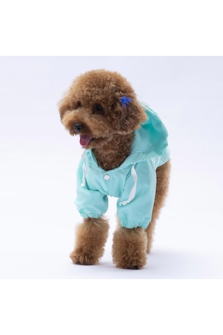 Mint Mont Köpek Mont Köpek Kıyafeti Köpek Yağmurluğu