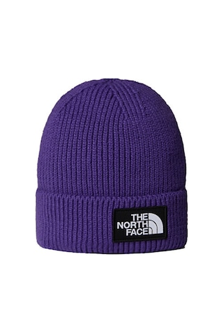 The North Face Tnf Logo Box Cuffed Beanie Bere Nf0a8chenl41 Mor Mor
