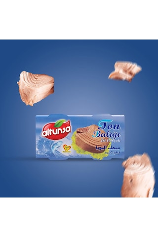 Altunsa Ton Balığı  2 x 160 G