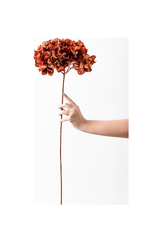 Yapay Vazo Çiçeği Ortanca 75 Cm 5 Dal Koyu Turuncu Turuncu