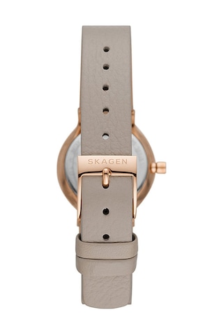 Skagen Skw3005 Kadın Kol Saati