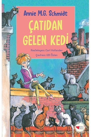 Çatıdan Gelen Kedi