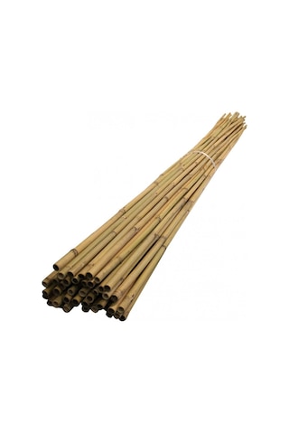 Bambu Bitki Destek Çubuğu 150 Cm 10 Adet