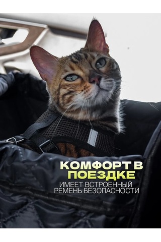 Contınental Evcil Hayvanlar İçin Koltuk Üstü Araç Koltuğu 418367457