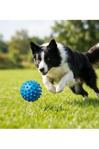 Runaway Dikenli Köpek Oyuncak Topu Ve Diş Eti Masaj Aleti