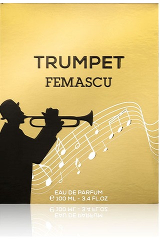 Femascu 6519 Erkek Parfüm EDP 100 ML