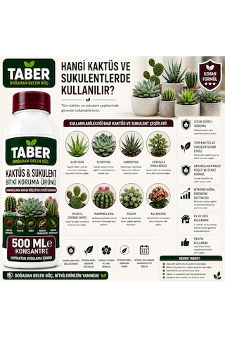 Taber Kaktüs & Sukulent Bitki Bakım Ürünü 500 Ml Konsantre Kaktüs Ve Sukulentler İçin Yapraktan Uygulama Diğer