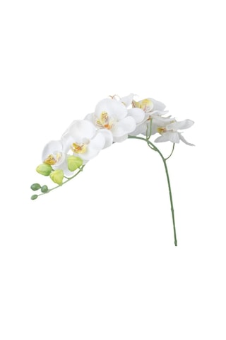 Yapay Çiçek Beyaz Islak Orkide Uzun Dal 90 Cm Orkide