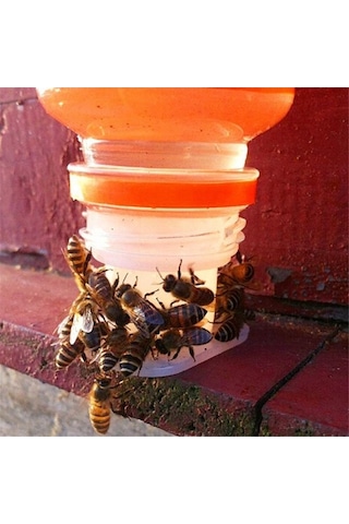 Pazly Suyu Suntek Su Içme Ekipmanları Besleyici Arı Paket 10 Adet Vf