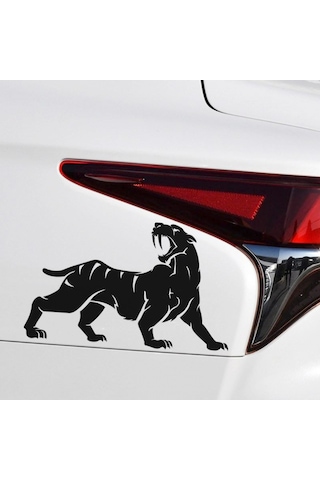 Araba Çıkartmaları, Tampon Koruyucuları Çok Renkli