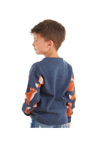 Denokids Mshb&g Tilki Erkek Çocuk Lacivert Triko Kazak Çok Renkli