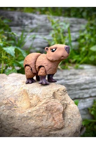 Kapibara Oyuncak 3d Hareketli Organik Vip Model Orta Boy