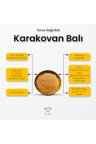 Toros Dağı Karakovan Balı 1400 G