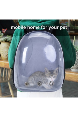 Springsun Yetişkinler, Gençler, Kampüs Sırt Çantaları, Yürüyüş, Tuval Okul Çantası İçin Aydınlık Sırt Çantaları Benzersiz Tasarım