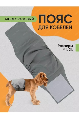 Mıra+zak Erkek Köpekler İçin Çok Kullanımlık Kilitli Kemer 173670792