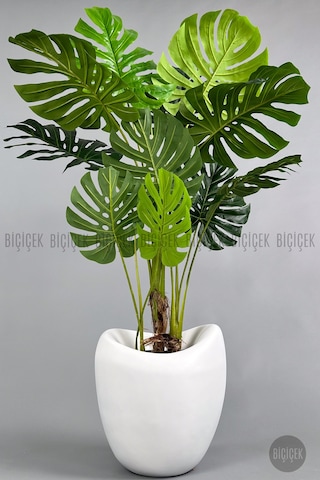 Biçiçek Yapay Monstera Ağacı Deve Tabani 170 Cm Beyaz Lale Saksıda
