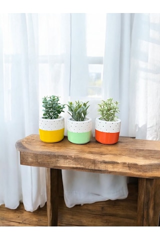 Renkli Saksı Seti Sukulent Kaktüs Dekoratif Eşya- Ev Dekorasyon - Saksı Seti 3