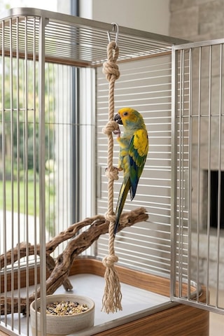 Mivra Pets Papağan Stres İpi 80 Cm 10 Mm Jüt Halat Mivra Pets Papağan Stres İpi 80 Cm 10 Mm Jüt Halat