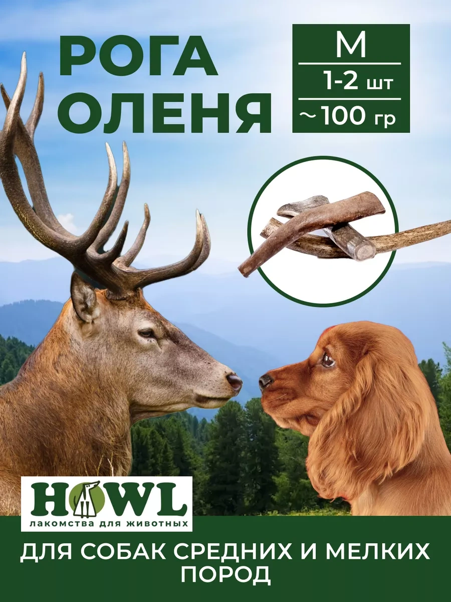 Howl Köpekler İçin Geyik Boynuzu M 80-110 G 74282202