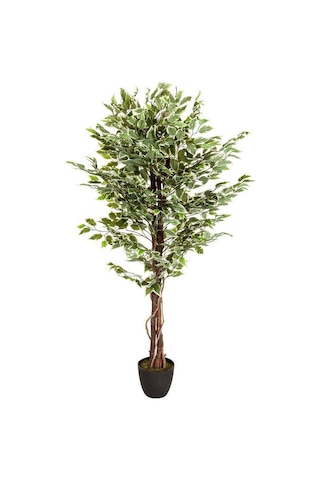 Yapay Ağaç Benjamin Yeşilbeyaz 2 Gövdeli Çalılı 165*80cm Siyah Plastik Saksılı