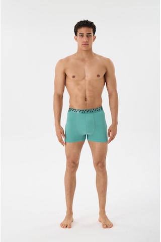 Mutig Tencel Modal Erkek Boxer Yeşil