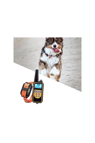 Suntek Köpek Eğitimi Şok Tasması Uzaktan 1-adet-turuncu