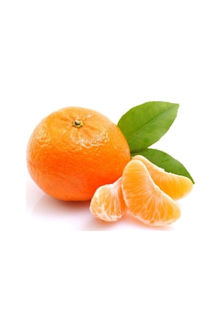Tüplü Aşılı Satsuma Mandalina Fidanı Yaş 1-2 Boy 90-110Cm
