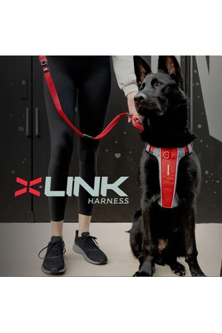 No-pull Küçük Köpekler İçin Köpek Koşum Takımı, X-link Çekme Önleyici Koşum Takımı, Ayarlanabilir, Yansıt