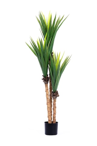The Mia Yapay Yucca Ağacı Yeşil 150 Cm