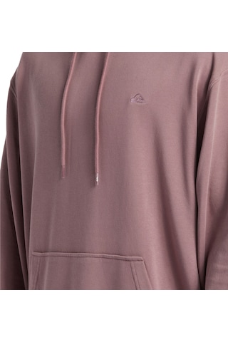 Quiksilver Salt Water Hoodie Erkek Sweatshirt Mor