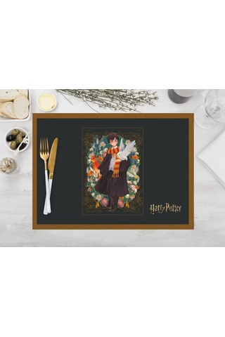 Harry Potter Characters Kumaş Amerikan Servis 4'lü Set 35x50cm Çok Renkli